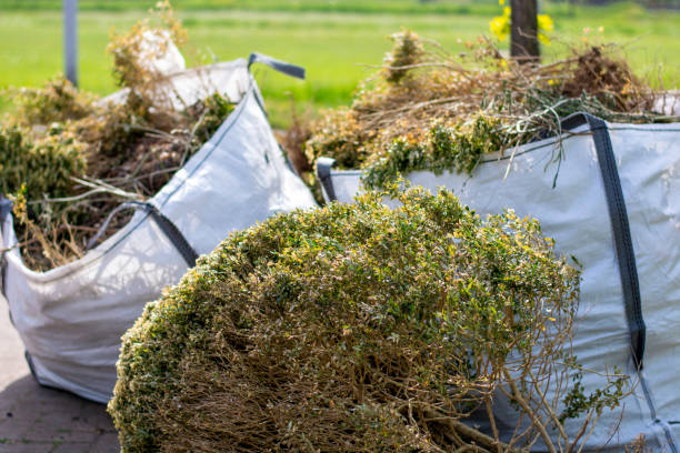 Best Yard Cleanup Services  in Untain View, MO